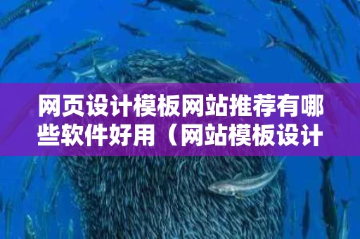 网页设计模板网站推荐有哪些软件好用（网站模板设计工具）