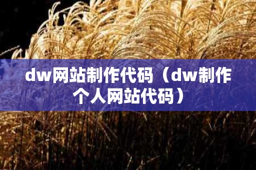 dw网站制作代码（dw制作个人网站代码）