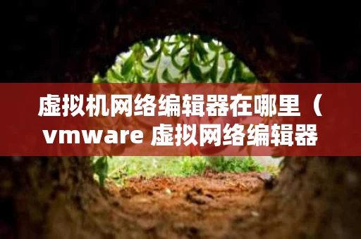 虚拟机网络编辑器在哪里（vmware 虚拟网络编辑器从哪里进）
