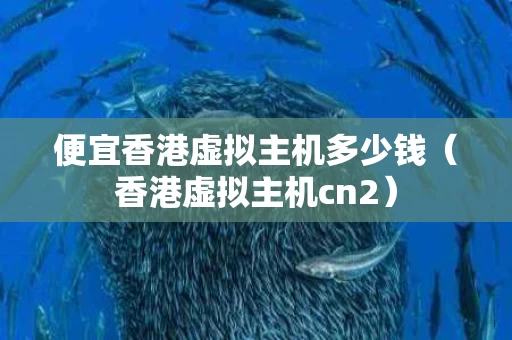 便宜香港虚拟主机多少钱（香港虚拟主机cn2）