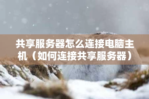 共享服务器怎么连接电脑主机（如何连接共享服务器）