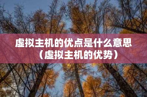 虚拟主机的优点是什么意思（虚拟主机的优势）