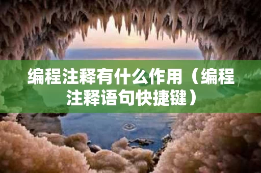 编程注释有什么作用（编程注释语句快捷键）