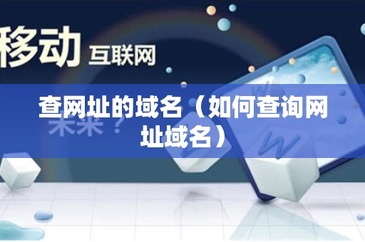查网址的域名（如何查询网址域名）