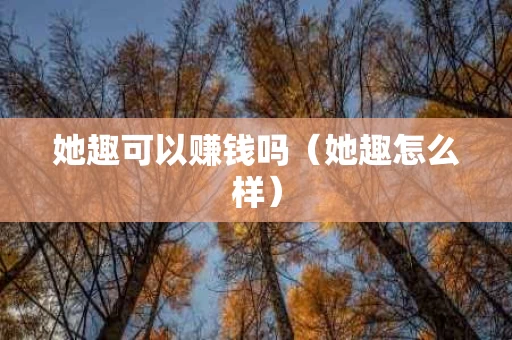 她趣可以赚钱吗（她趣怎么样）