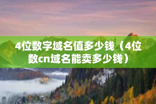 4位数字域名值多少钱（4位数cn域名能卖多少钱）