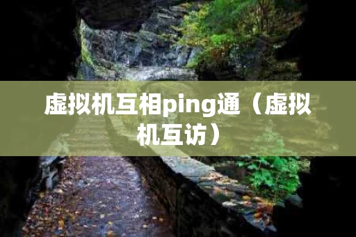 虚拟机互相ping通（虚拟机互访）