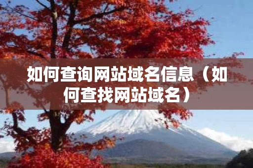如何查询网站域名信息（如何查找网站域名）