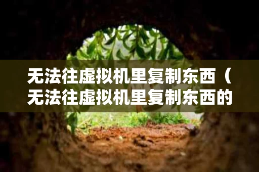 无法往虚拟机里复制东西（无法往虚拟机里复制东西的原因）