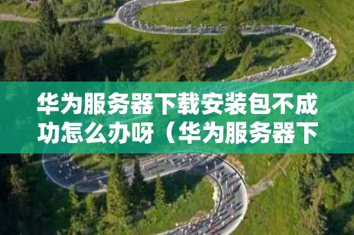 华为服务器下载安装包不成功怎么办呀（华为服务器下载安装到手机）