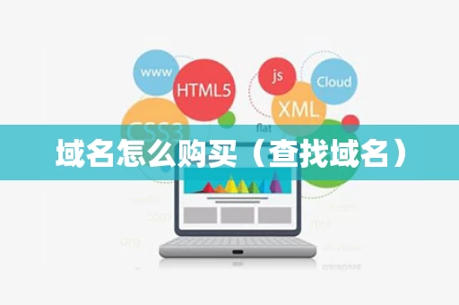 域名怎么购买（查找域名）