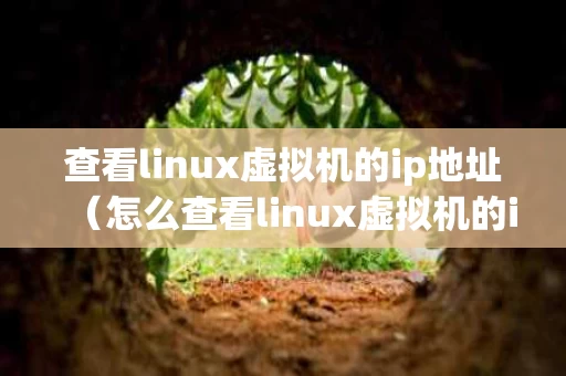 查看linux虚拟机的ip地址（怎么查看linux虚拟机的ip地址）