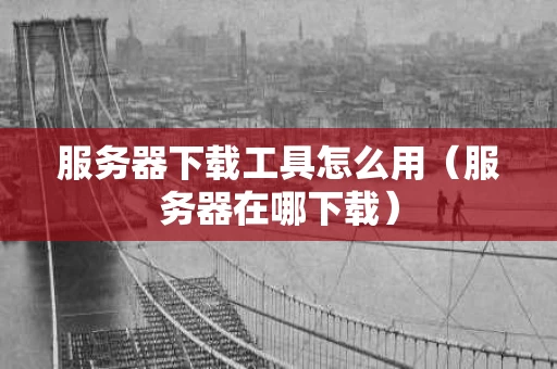 服务器下载工具怎么用（服务器在哪下载）
