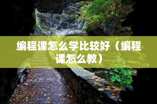 编程课怎么学比较好（编程课怎么教）