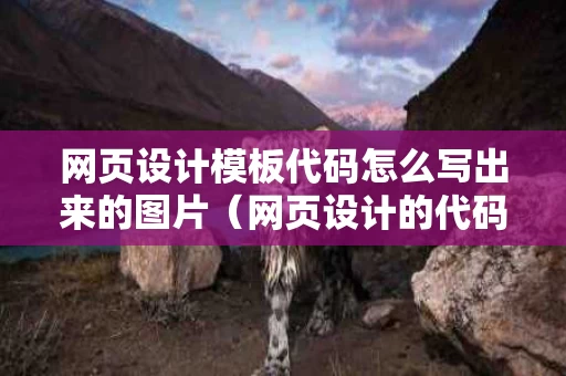 网页设计模板代码怎么写出来的图片（网页设计的代码大全）