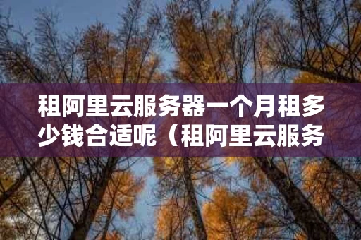 租阿里云服务器一个月租多少钱合适呢（租阿里云服务器一个月租多少钱合适呢）