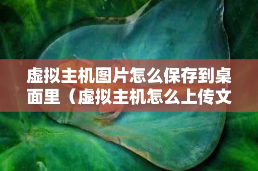虚拟主机图片怎么保存到桌面里（虚拟主机怎么上传文件）