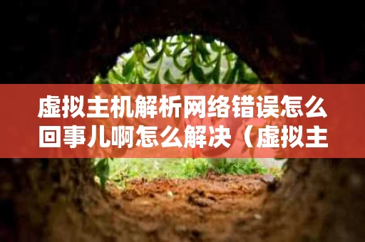 虚拟主机解析网络错误怎么回事儿啊怎么解决（虚拟主机解析域名）