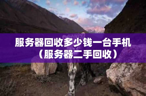 服务器回收多少钱一台手机（服务器二手回收）