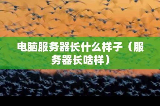 电脑服务器长什么样子（服务器长啥样）