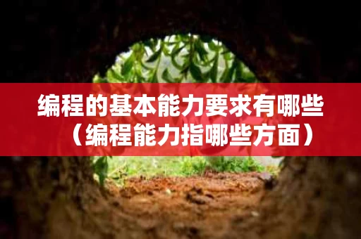 编程的基本能力要求有哪些（编程能力指哪些方面）