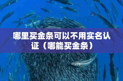哪里买金条可以不用实名认证（哪能买金条）