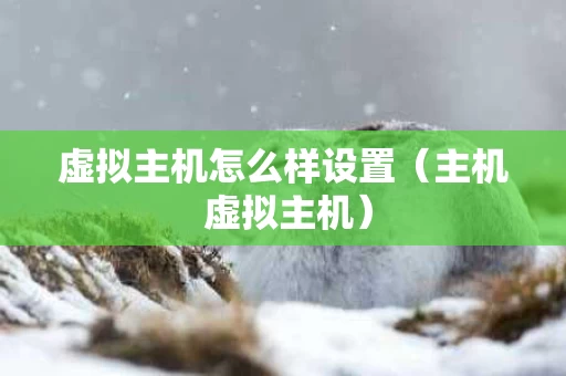 虚拟主机怎么样设置（主机 虚拟主机）