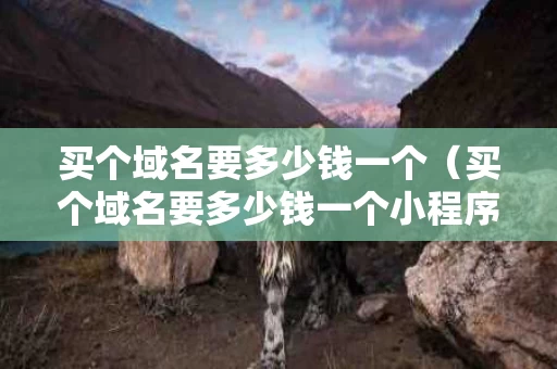 买个域名要多少钱一个（买个域名要多少钱一个小程序）