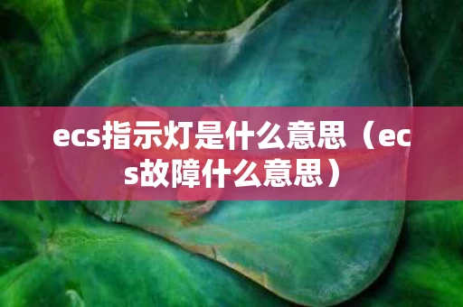 ecs指示灯是什么意思（ecs故障什么意思）