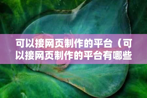 可以接网页制作的平台（可以接网页制作的平台有哪些）
