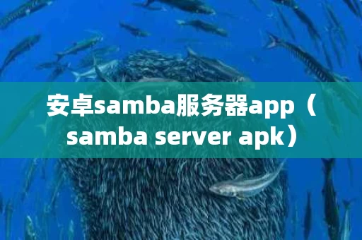 安卓samba服务器app（samba server apk）
