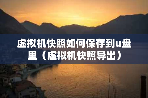 虚拟机快照如何保存到u盘里（虚拟机快照导出）