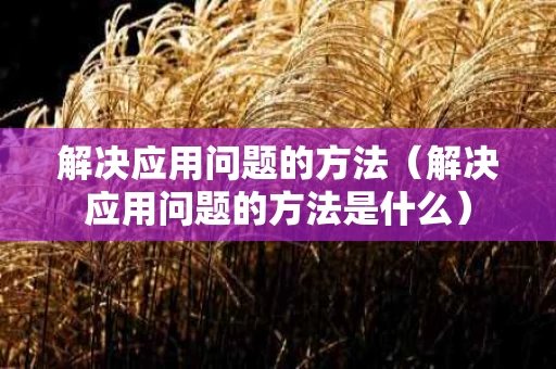 解决应用问题的方法（解决应用问题的方法是什么）