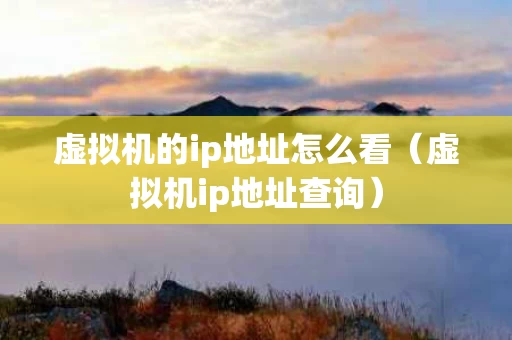 虚拟机的ip地址怎么看（虚拟机ip地址查询）