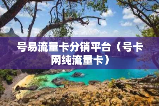 号易流量卡分销平台（号卡网纯流量卡）