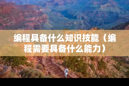 编程具备什么知识技能（编程需要具备什么能力）