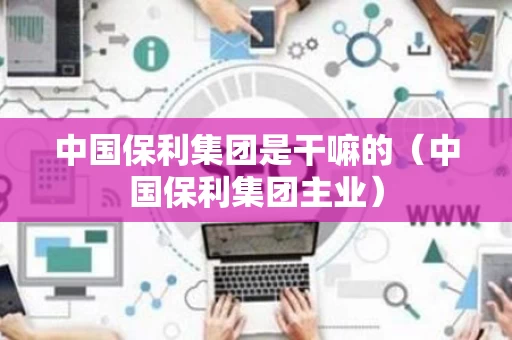 中国保利集团是干嘛的（中国保利集团主业）