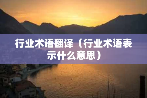 行业术语翻译（行业术语表示什么意思）