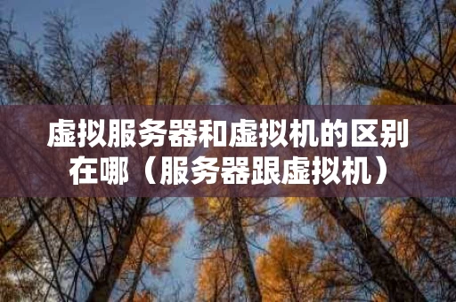 虚拟服务器和虚拟机的区别在哪（服务器跟虚拟机）