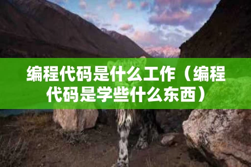 编程代码是什么工作（编程代码是学些什么东西）
