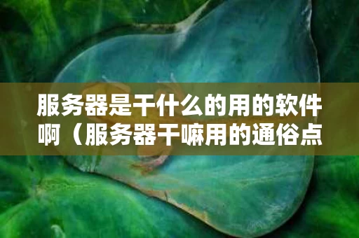 服务器是干什么的用的软件啊（服务器干嘛用的通俗点）