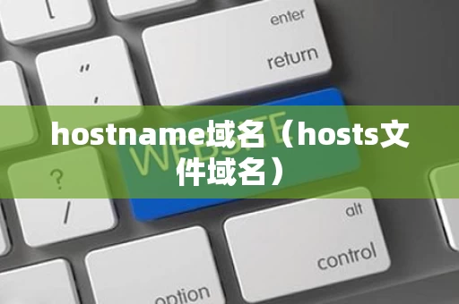 hostname域名（hosts文件域名）
