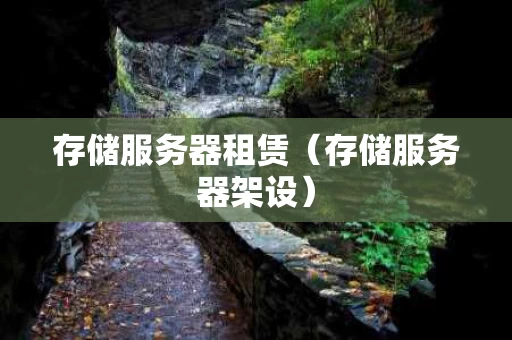 存储服务器租赁（存储服务器架设）