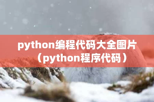 python编程代码大全图片（python程序代码）