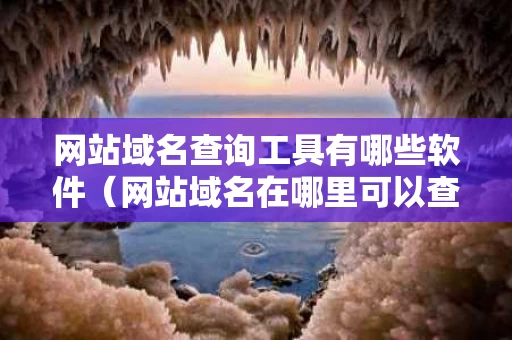 网站域名查询工具有哪些软件（网站域名在哪里可以查到信息）