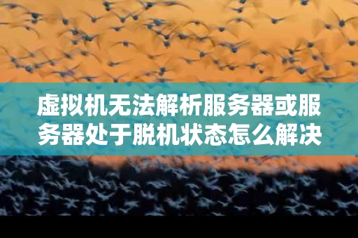 虚拟机无法解析服务器或服务器处于脱机状态怎么解决（虚拟机显示无法连接至服务器）