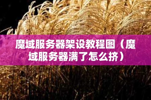 魔域服务器架设教程图（魔域服务器满了怎么挤）