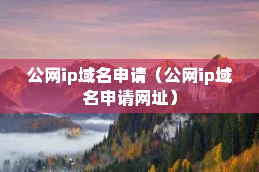 公网ip域名申请（公网ip域名申请网址）