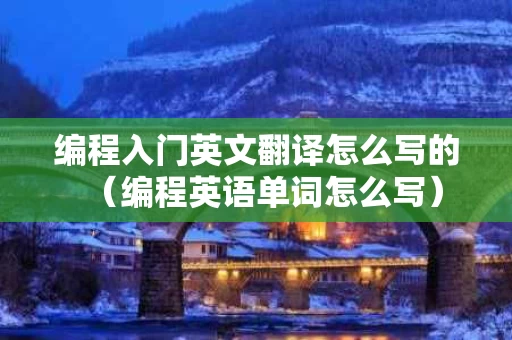 编程入门英文翻译怎么写的（编程英语单词怎么写）