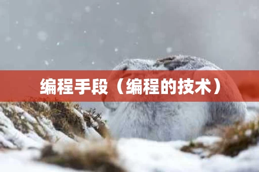 编程手段（编程的技术）